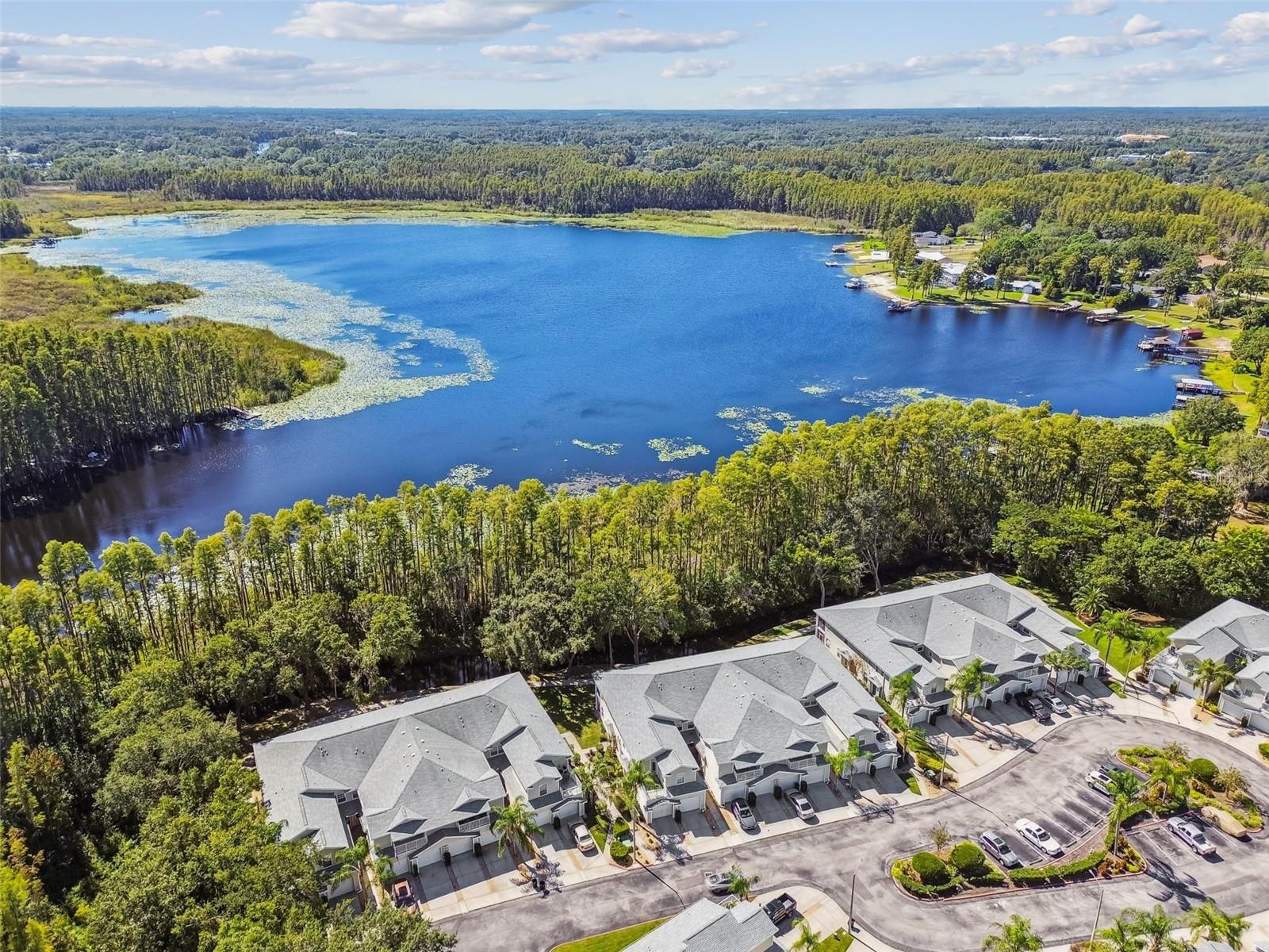 1627 HAMMOCKS AVE, LUTZ, FL, 33549