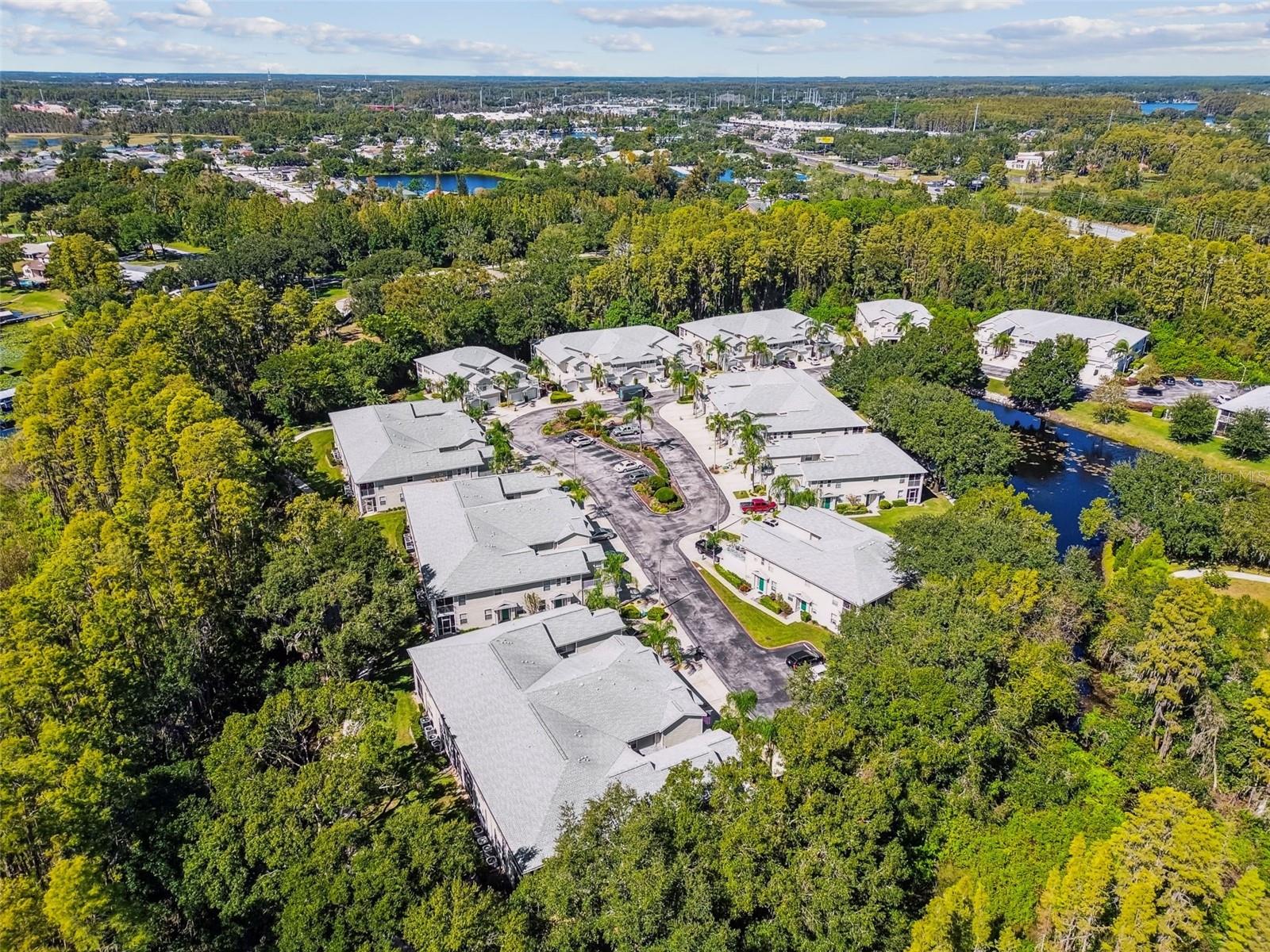 1627 HAMMOCKS AVE, LUTZ, FL, 33549