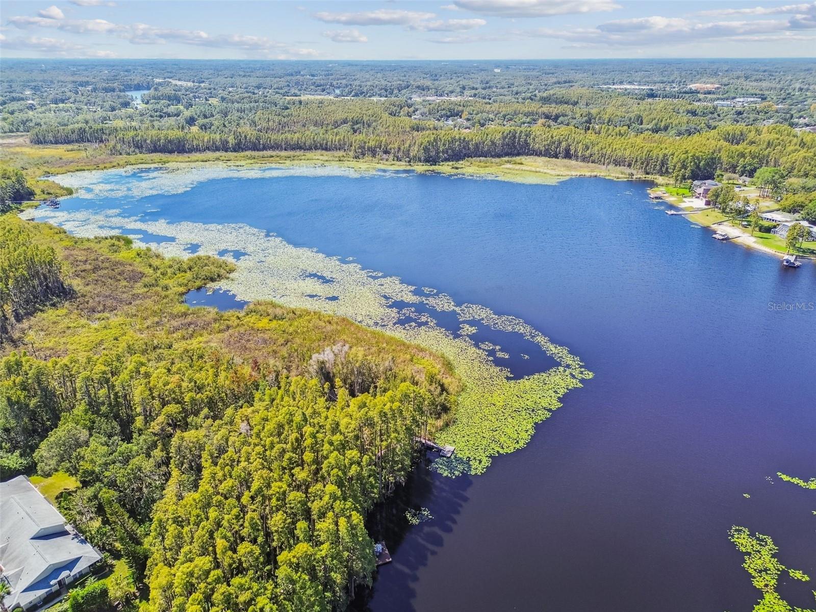 1627 HAMMOCKS AVE, LUTZ, FL, 33549