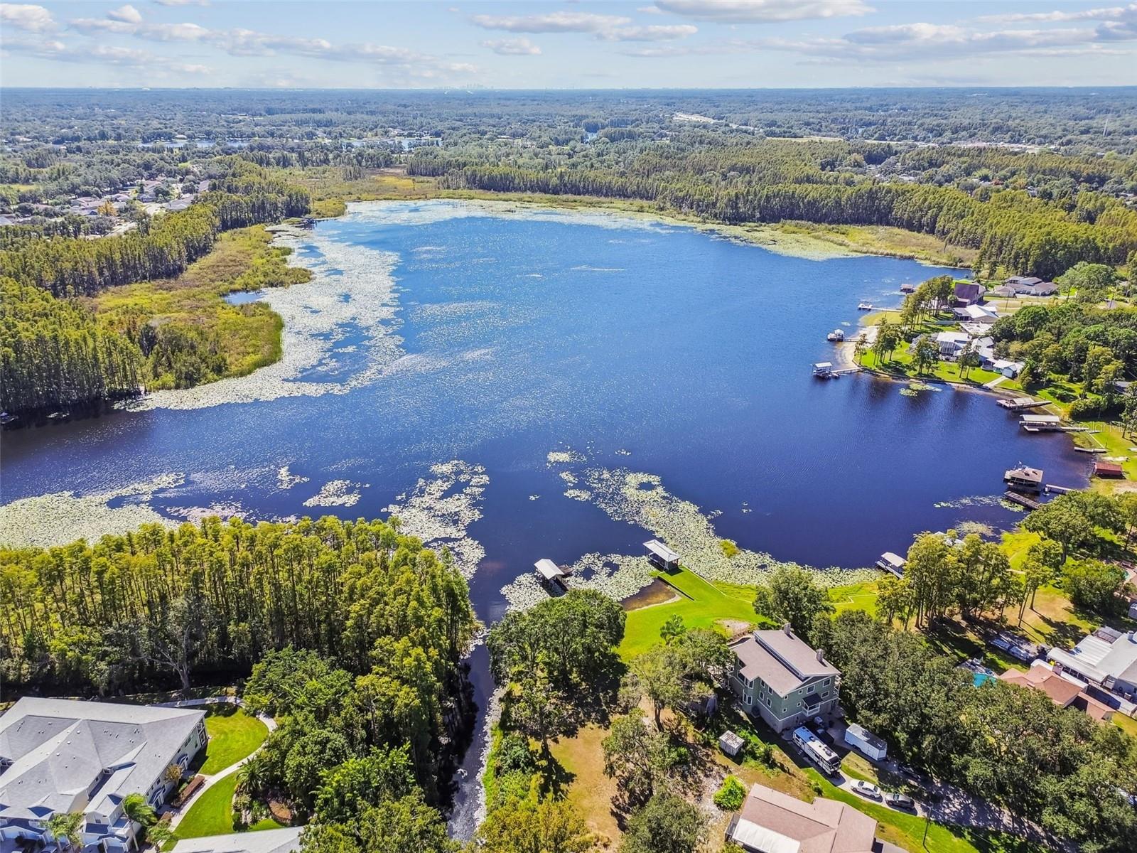 1627 HAMMOCKS AVE, LUTZ, FL, 33549