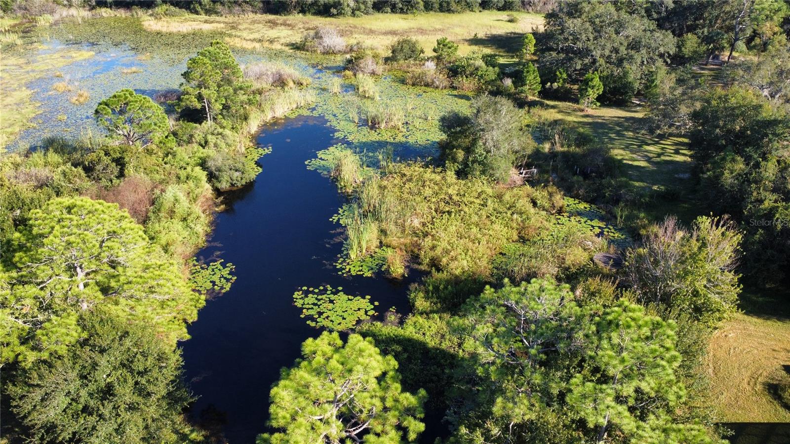 9640 HILLTOP DR, NEW PORT RICHEY, FL, 34654