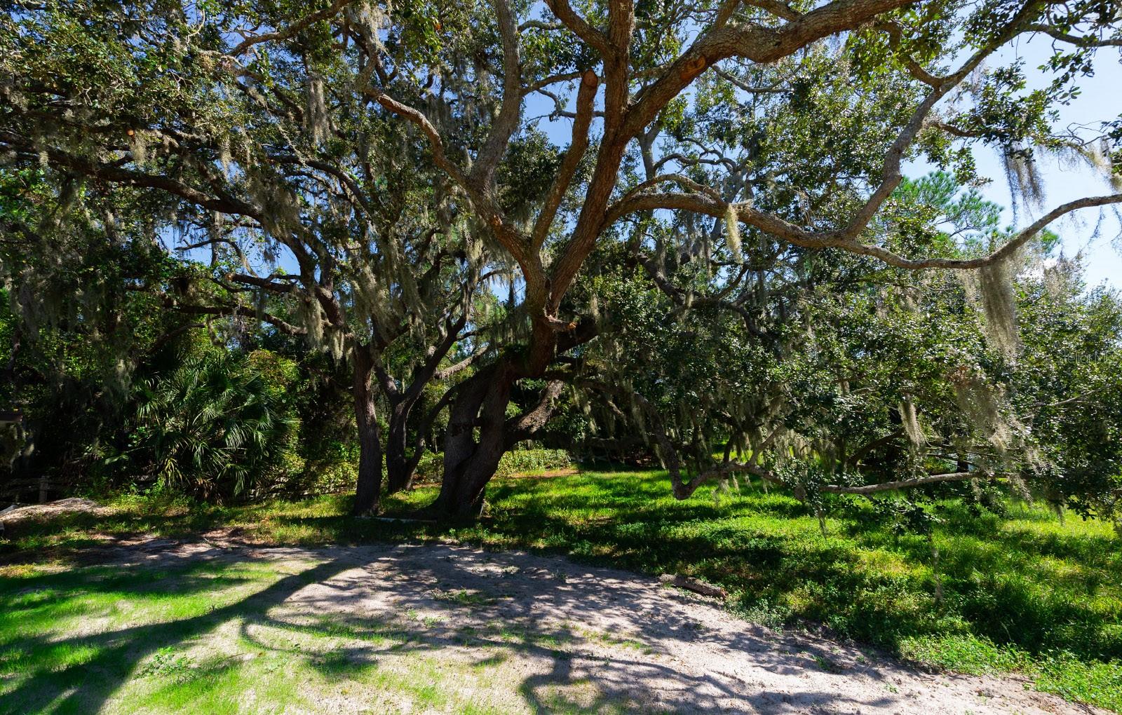 9640 HILLTOP DR, NEW PORT RICHEY, FL, 34654