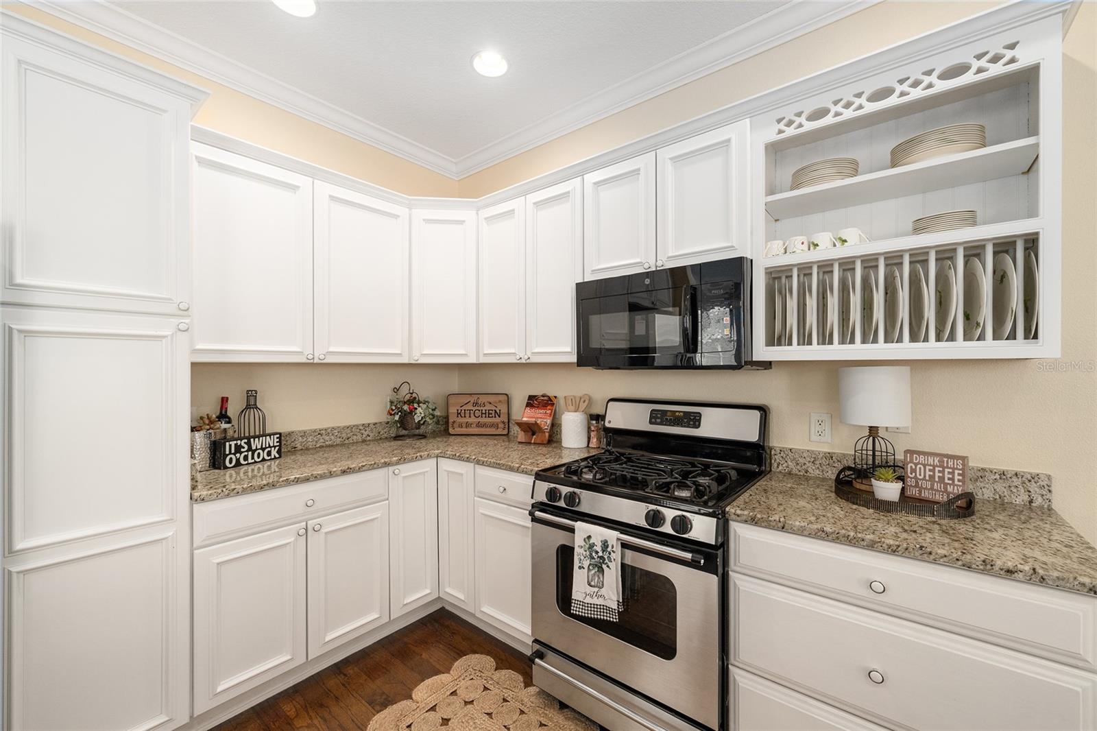 959 FISH CAMP RD, THE VILLAGES, FL, 32162