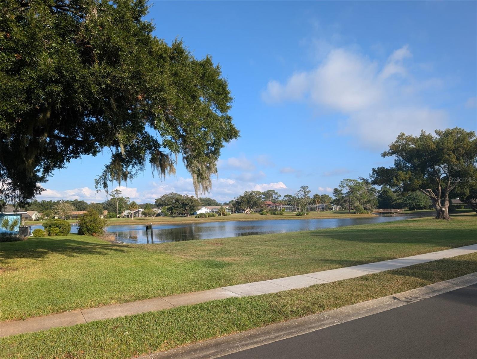 4469 LAKE IN THE WOODS DR, SPRING HILL, FL, 34607