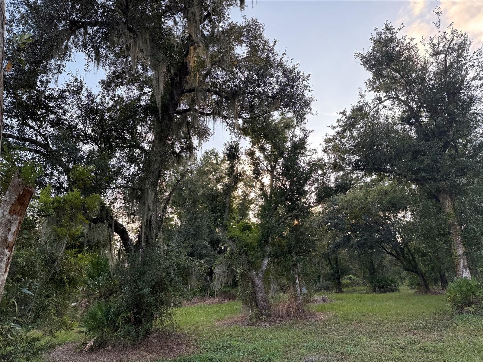 SE TOWNSEND AVE, ARCADIA, FL, 34266