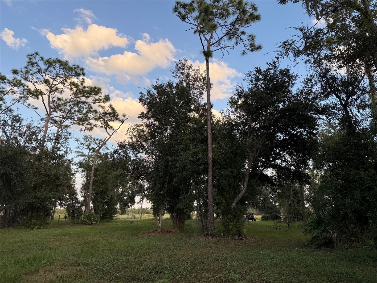 SE TOWNSEND AVE, ARCADIA, FL, 34266