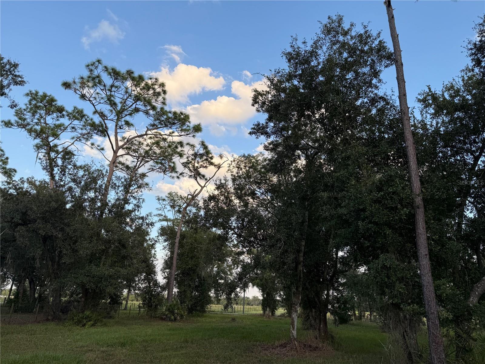 SE TOWNSEND AVE, ARCADIA, FL, 34266