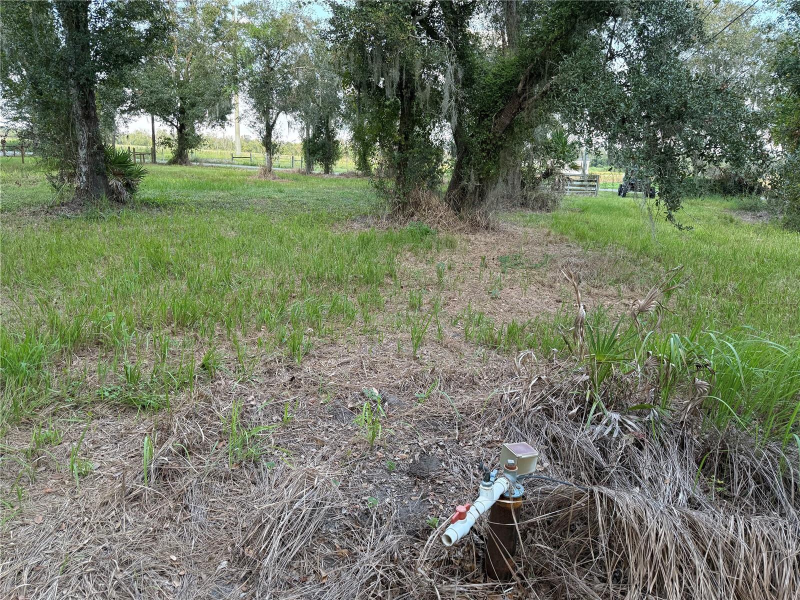 SE TOWNSEND AVE, ARCADIA, FL, 34266