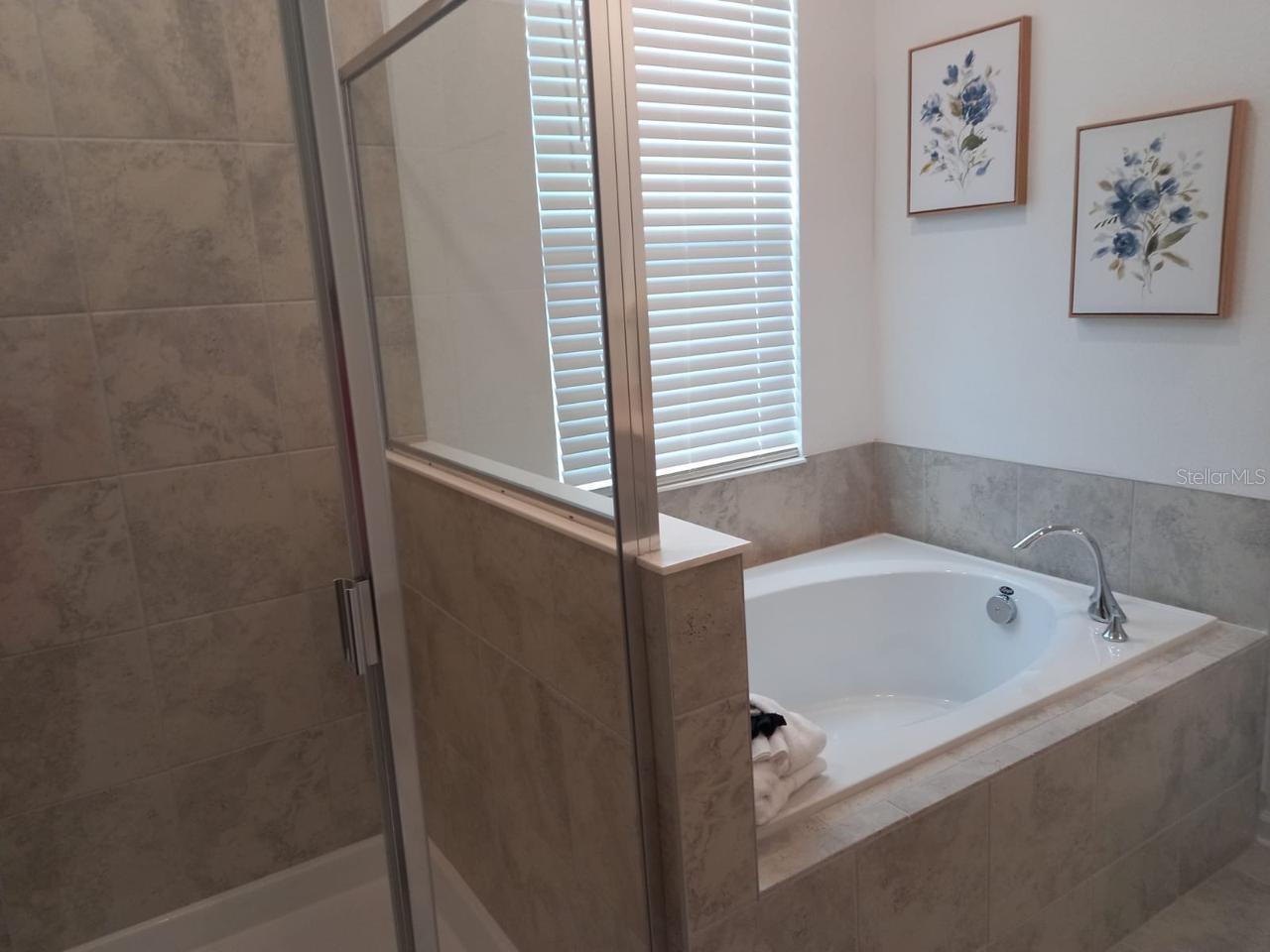 1041 SPLASH SHOT PL #1041, DAVENPORT, FL, 33896