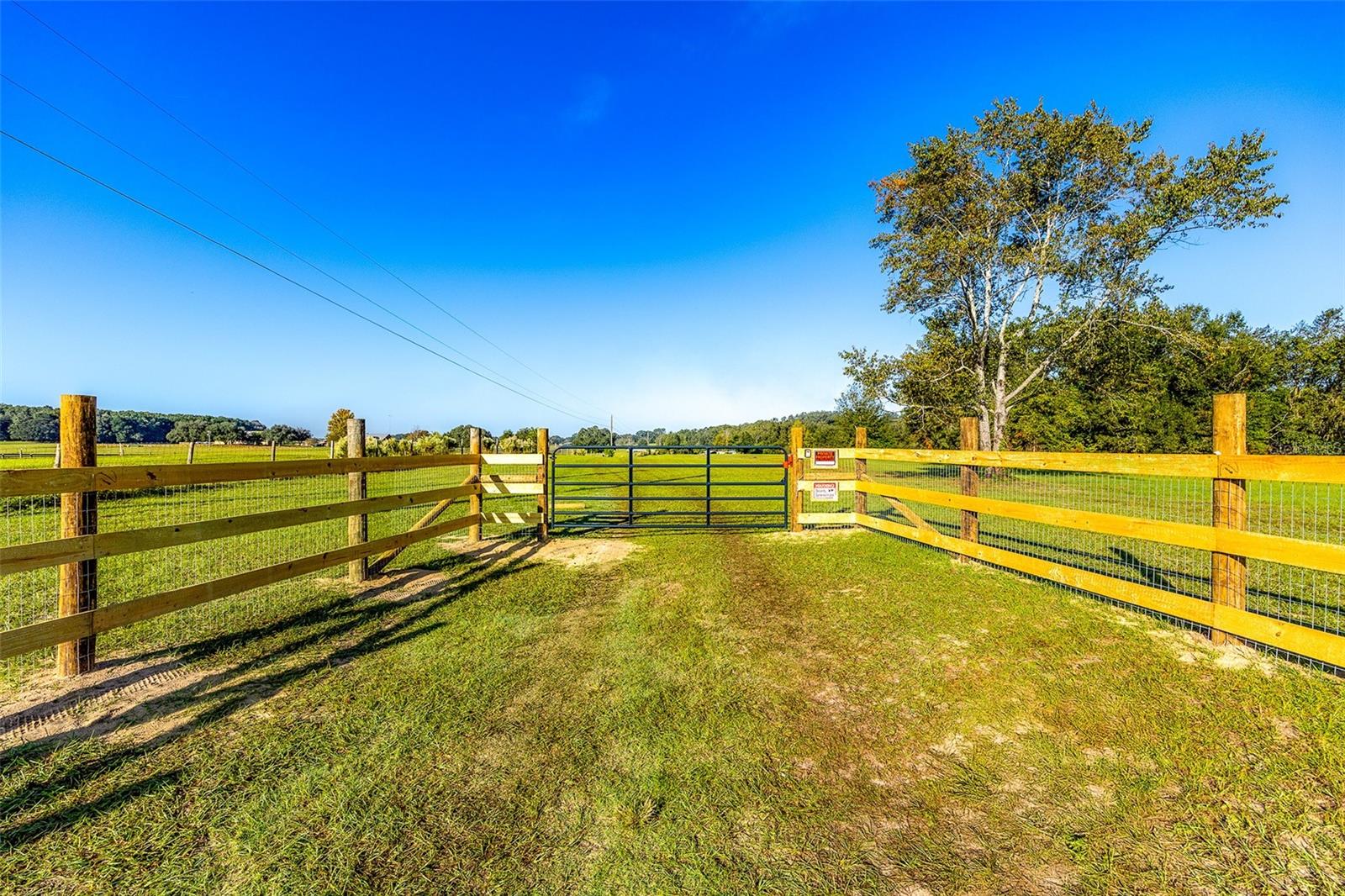 15530 SE 47TH AVE, SUMMERFIELD, FL, 34491