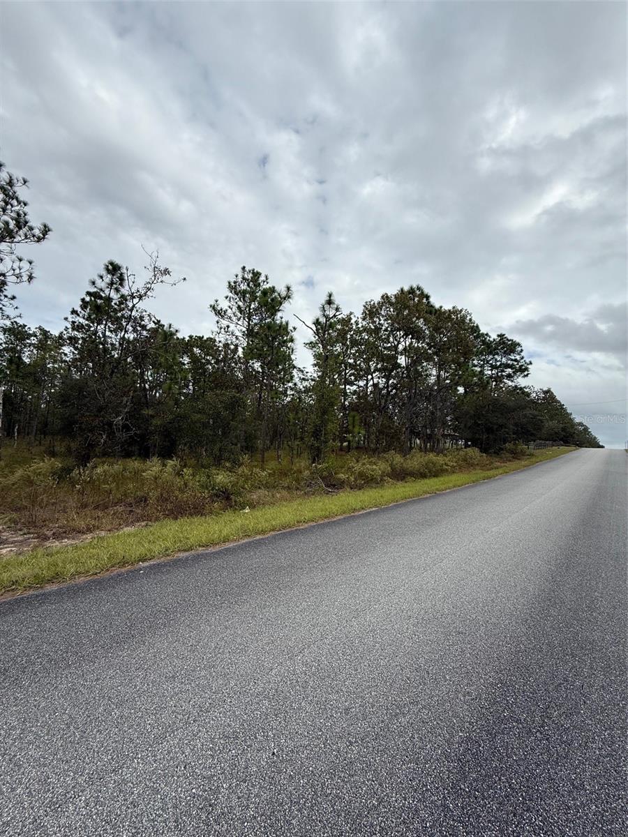 NW AMBERJACK AVE, DUNNELLON, FL, 34431