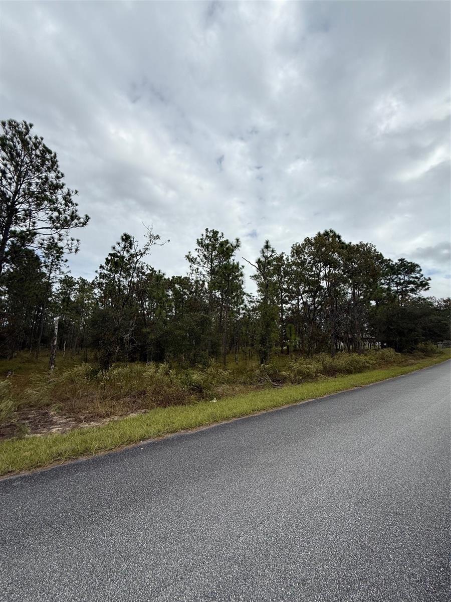 NW AMBERJACK AVE, DUNNELLON, FL, 34431