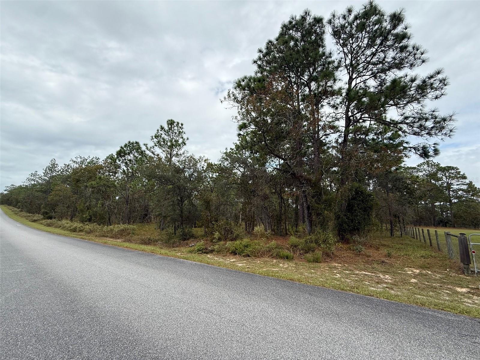 NW AMBERJACK AVE, DUNNELLON, FL, 34431