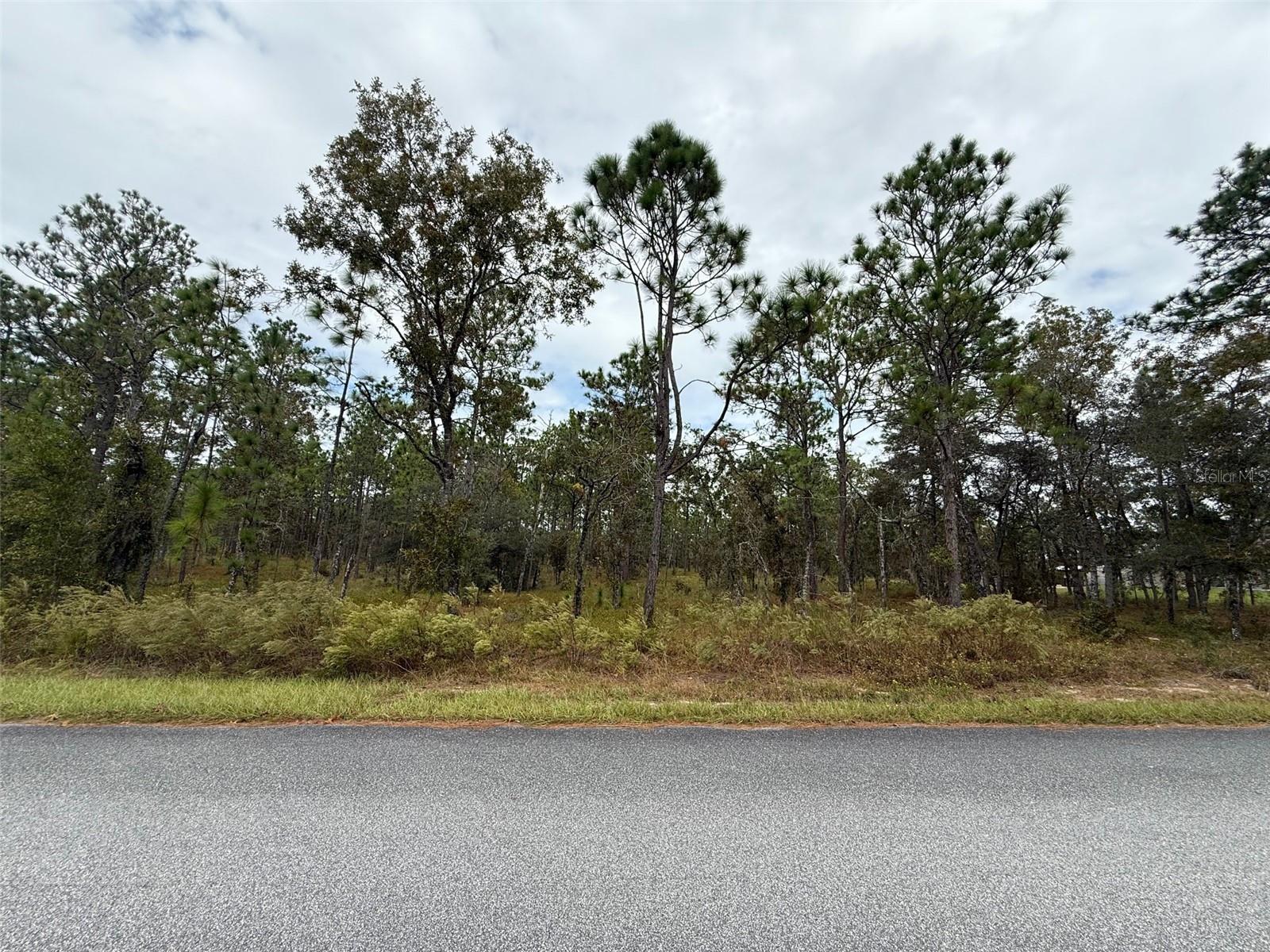 NW AMBERJACK AVE, DUNNELLON, FL, 34431