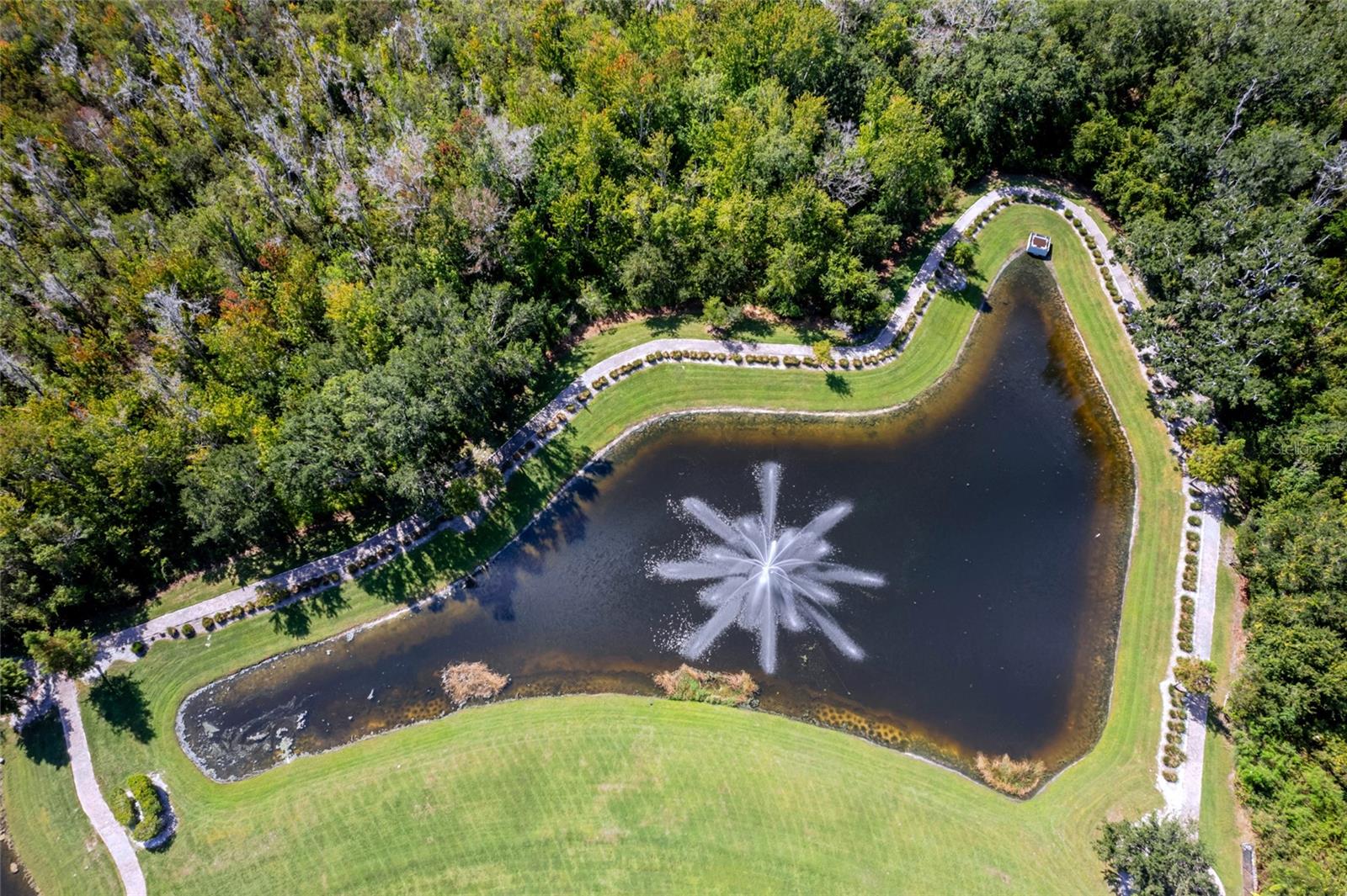 12904 CANOPY WOODS WAY, WINTER GARDEN, FL, 34787