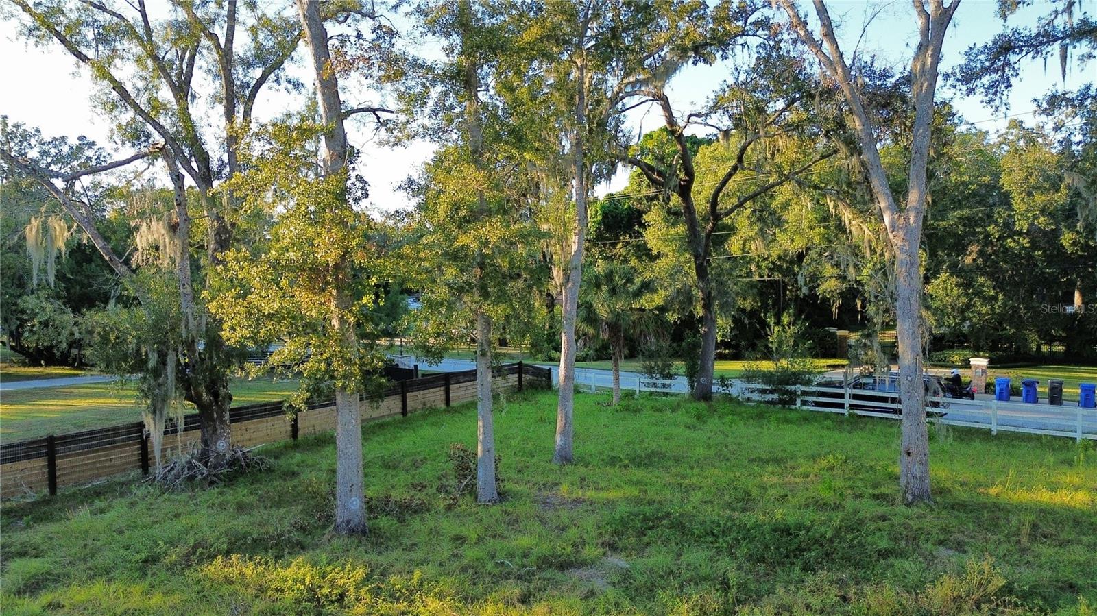 1407 WHITAKER RD, LUTZ, FL, 33559