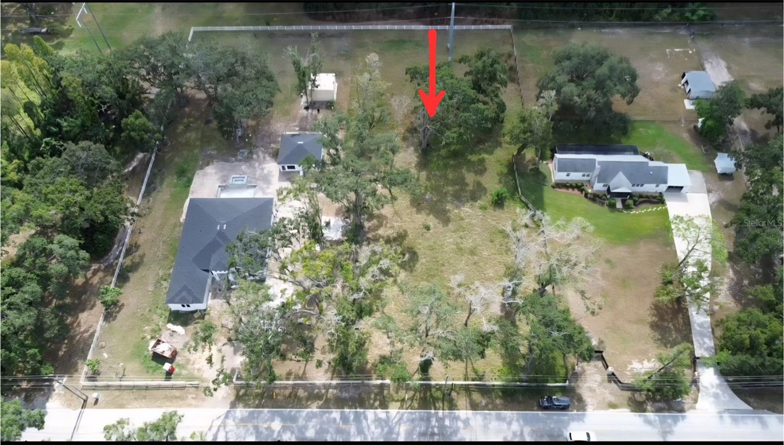 1407 WHITAKER RD, LUTZ, FL, 33559