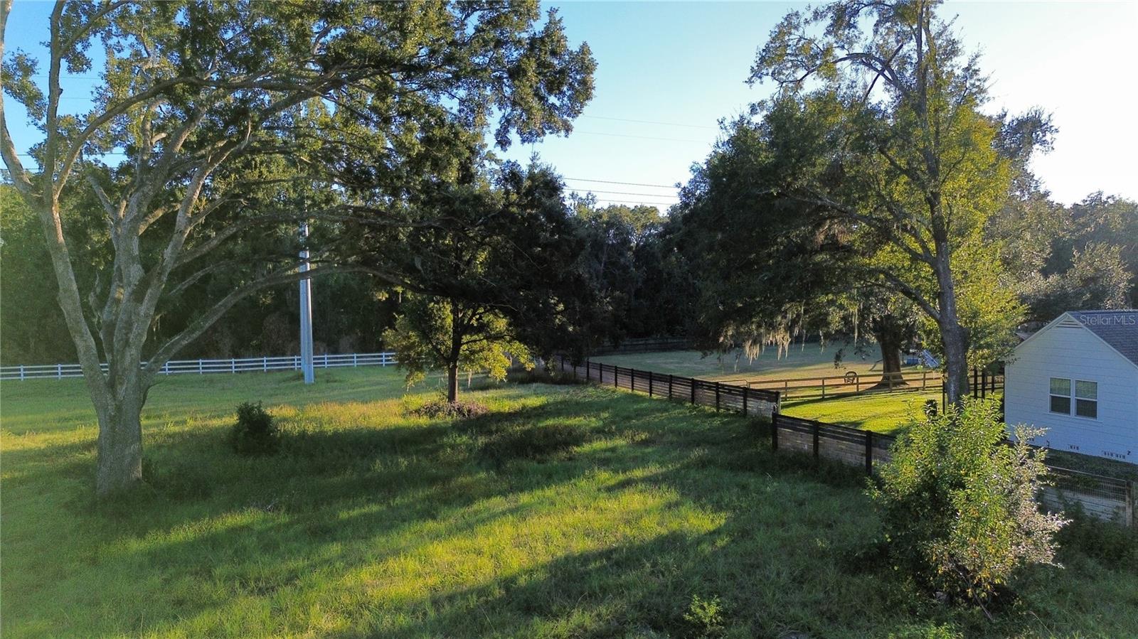 1407 WHITAKER RD, LUTZ, FL, 33559