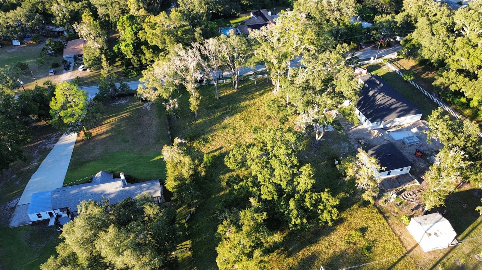 1407 WHITAKER RD, LUTZ, FL, 33559