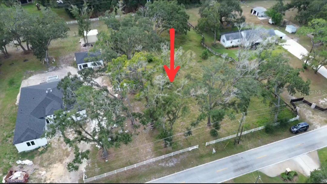 1407 WHITAKER RD, LUTZ, FL, 33559