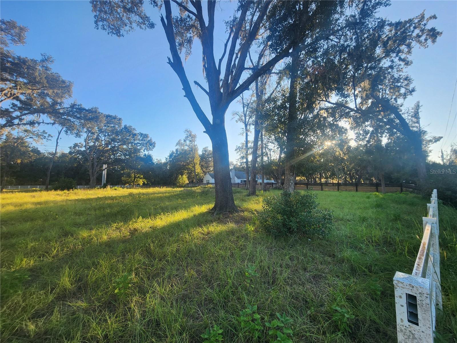 1407 WHITAKER RD, LUTZ, FL, 33559