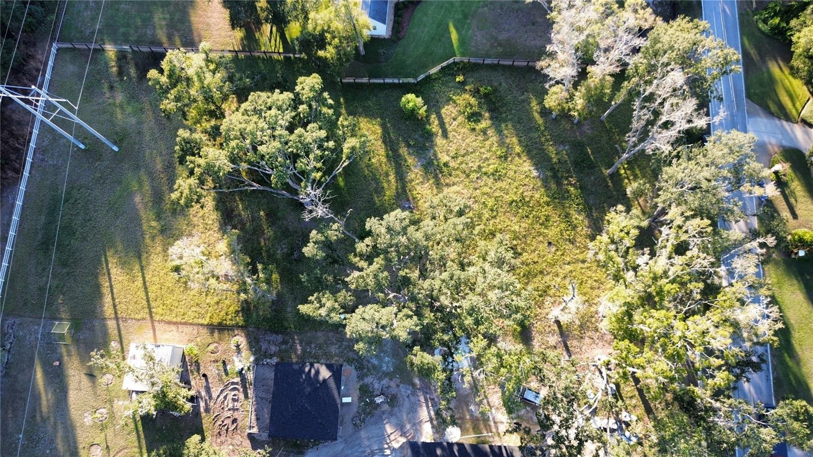 1407 WHITAKER RD, LUTZ, FL, 33559