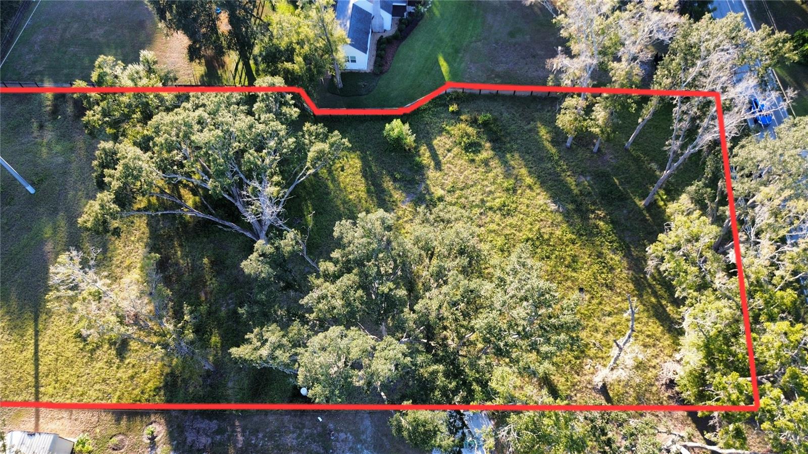 1407 WHITAKER RD, LUTZ, FL, 33559