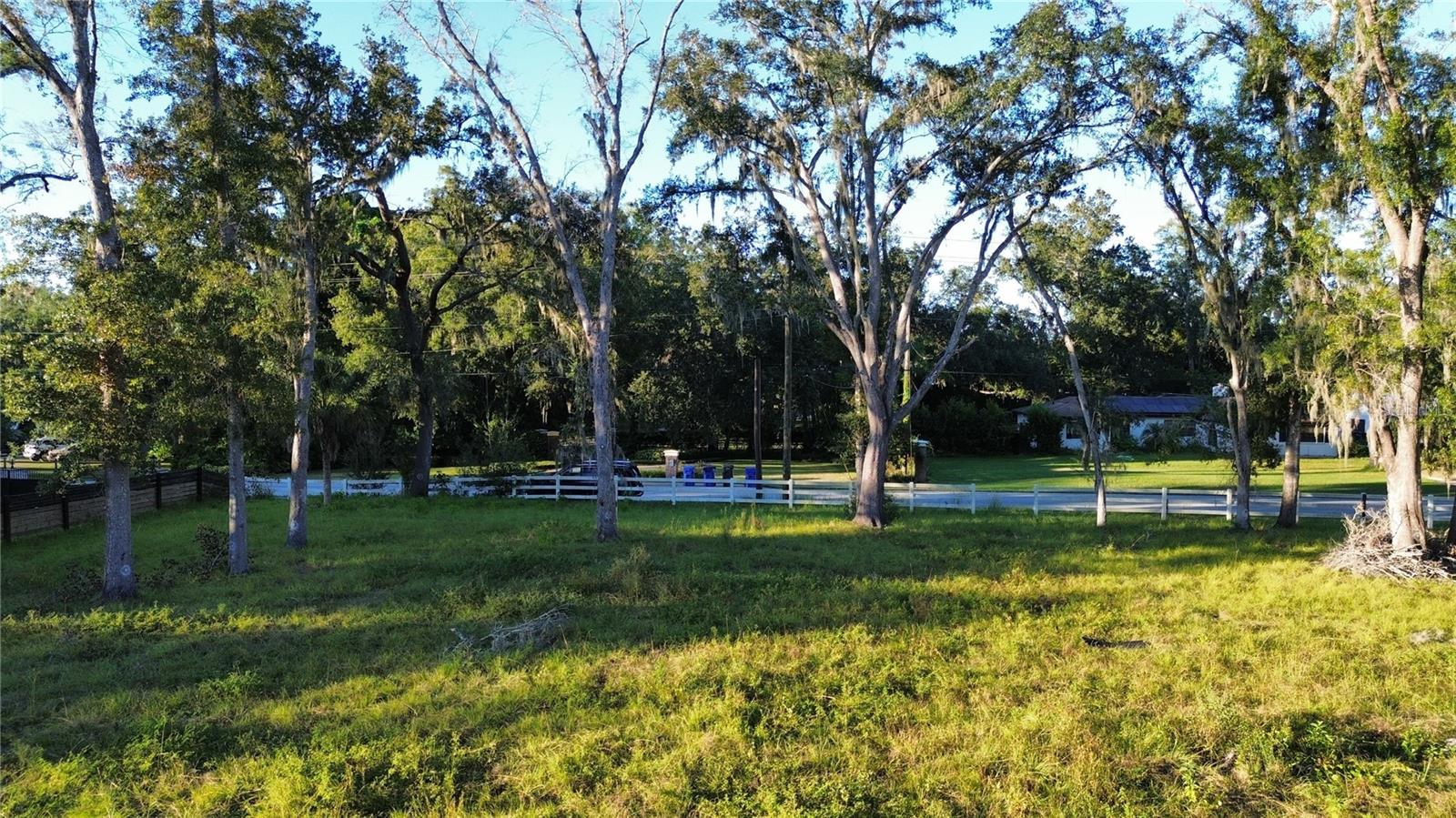 1407 WHITAKER RD, LUTZ, FL, 33559