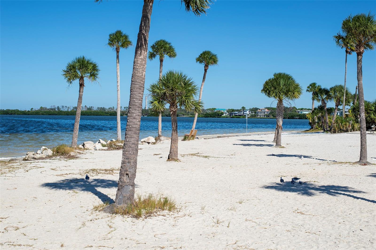 305 TARPON PT #305, TARPON SPRINGS, FL, 34689