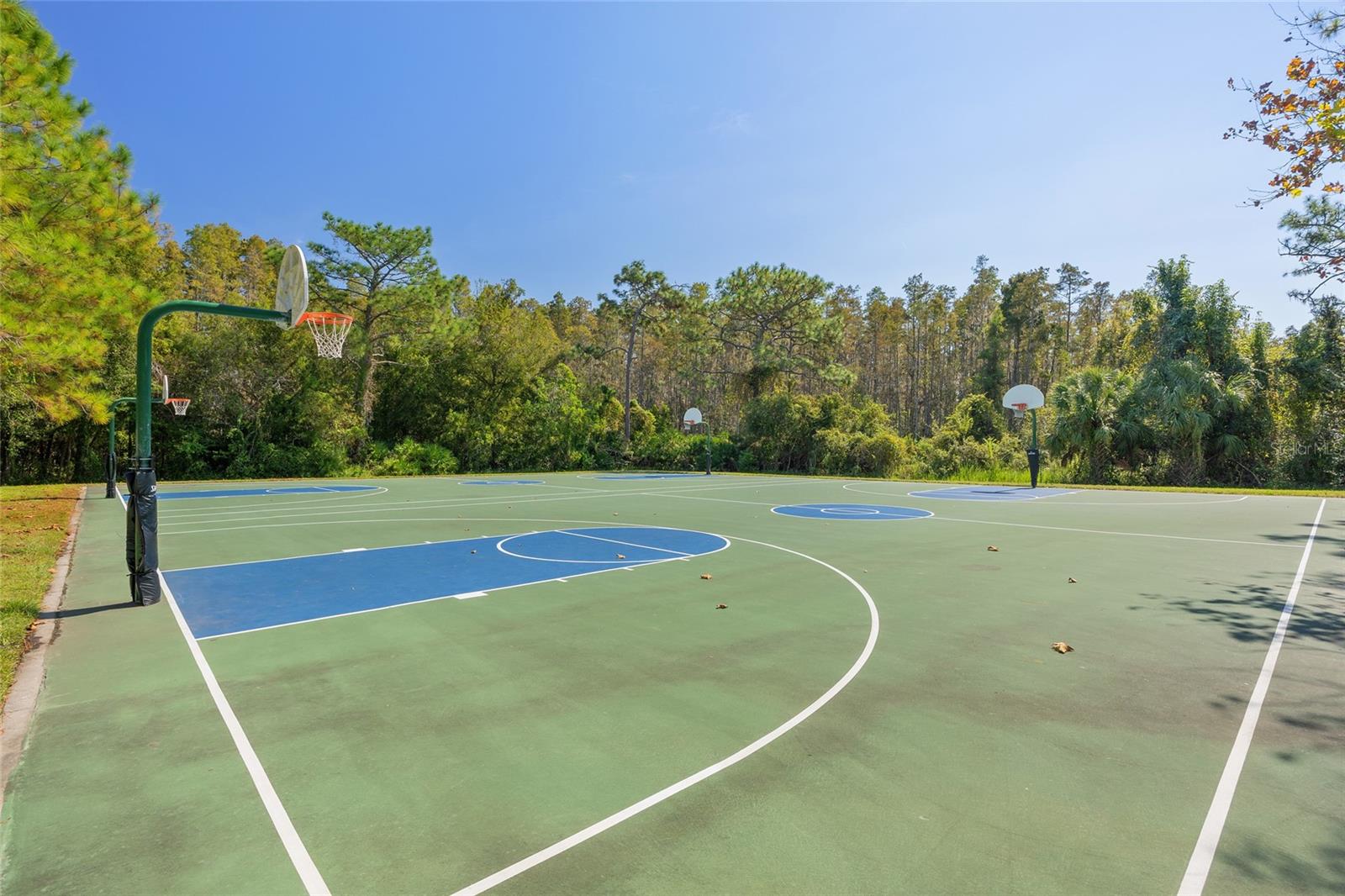 31225 CLARIDGE PL, WESLEY CHAPEL, FL, 33543