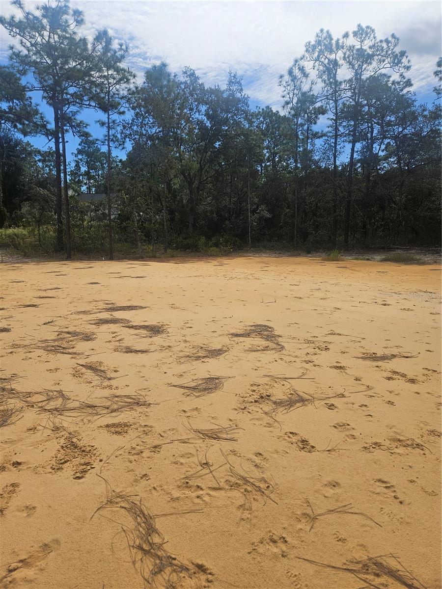 33216 TEAKWOOD DR, WEBSTER, FL, 33597