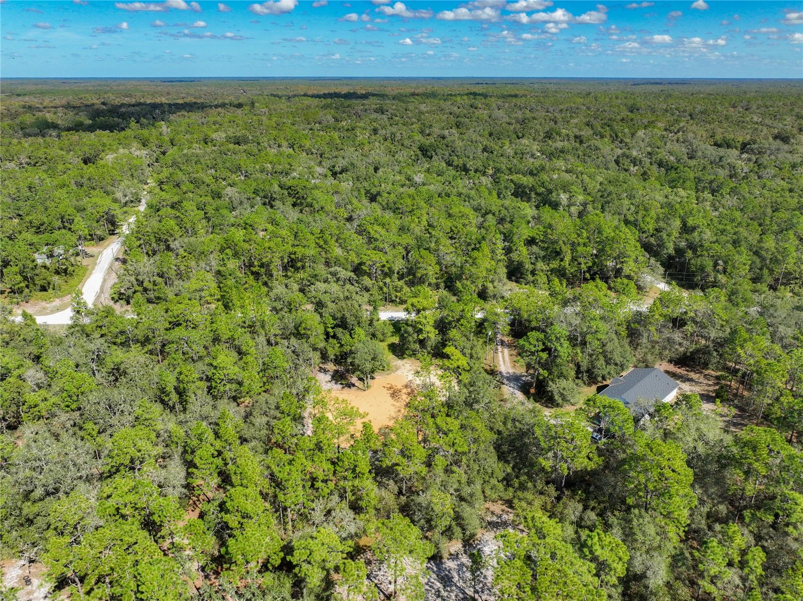 33216 TEAKWOOD DR, WEBSTER, FL, 33597