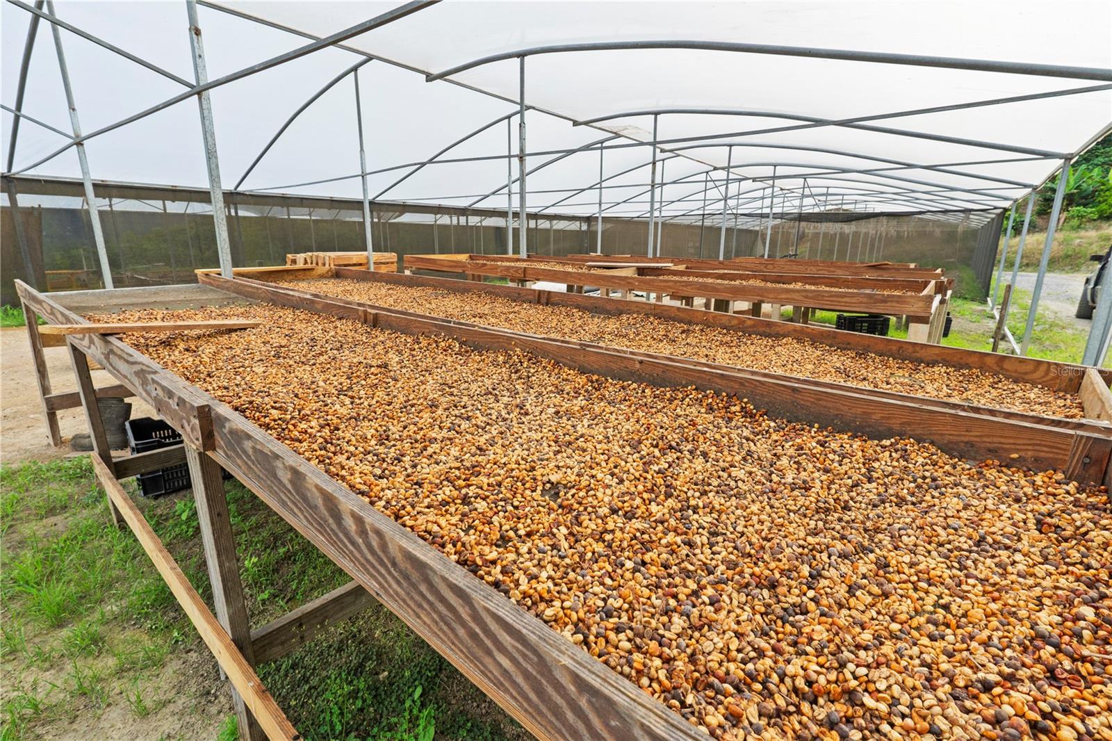 PR9116886 Property Photo