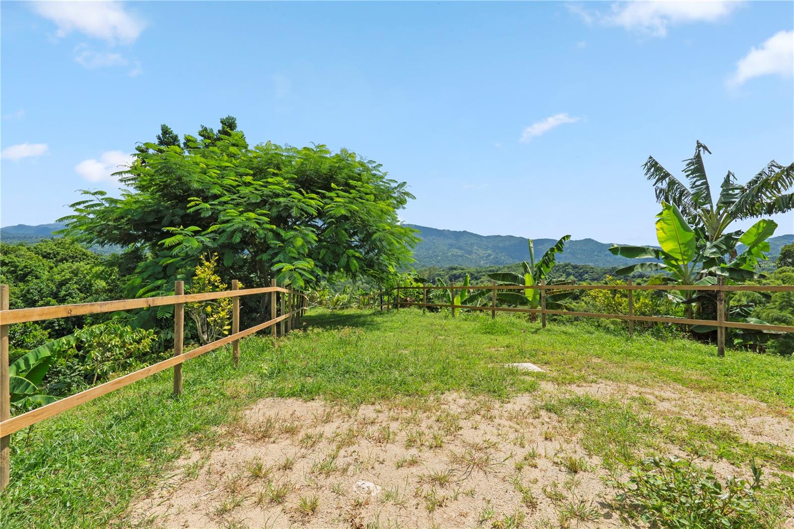 PR9116886 Property Photo