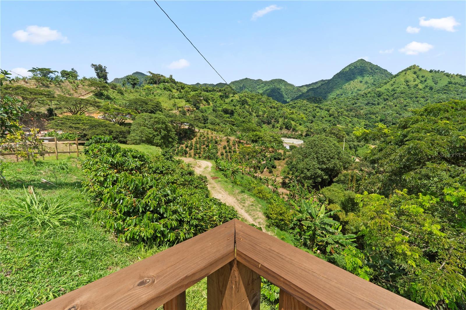 PR9116886 Property Photo