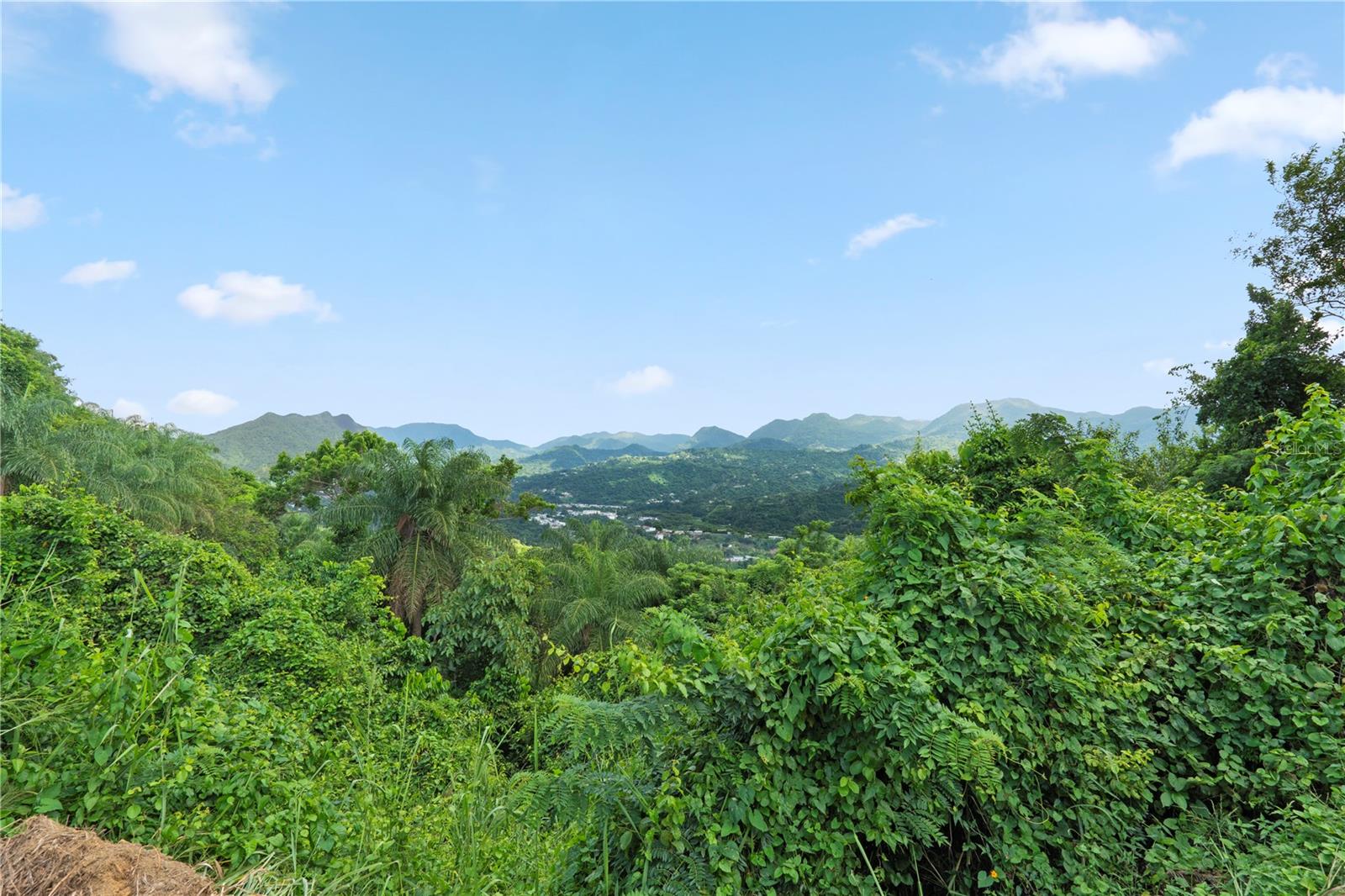 PR9116886 Property Photo