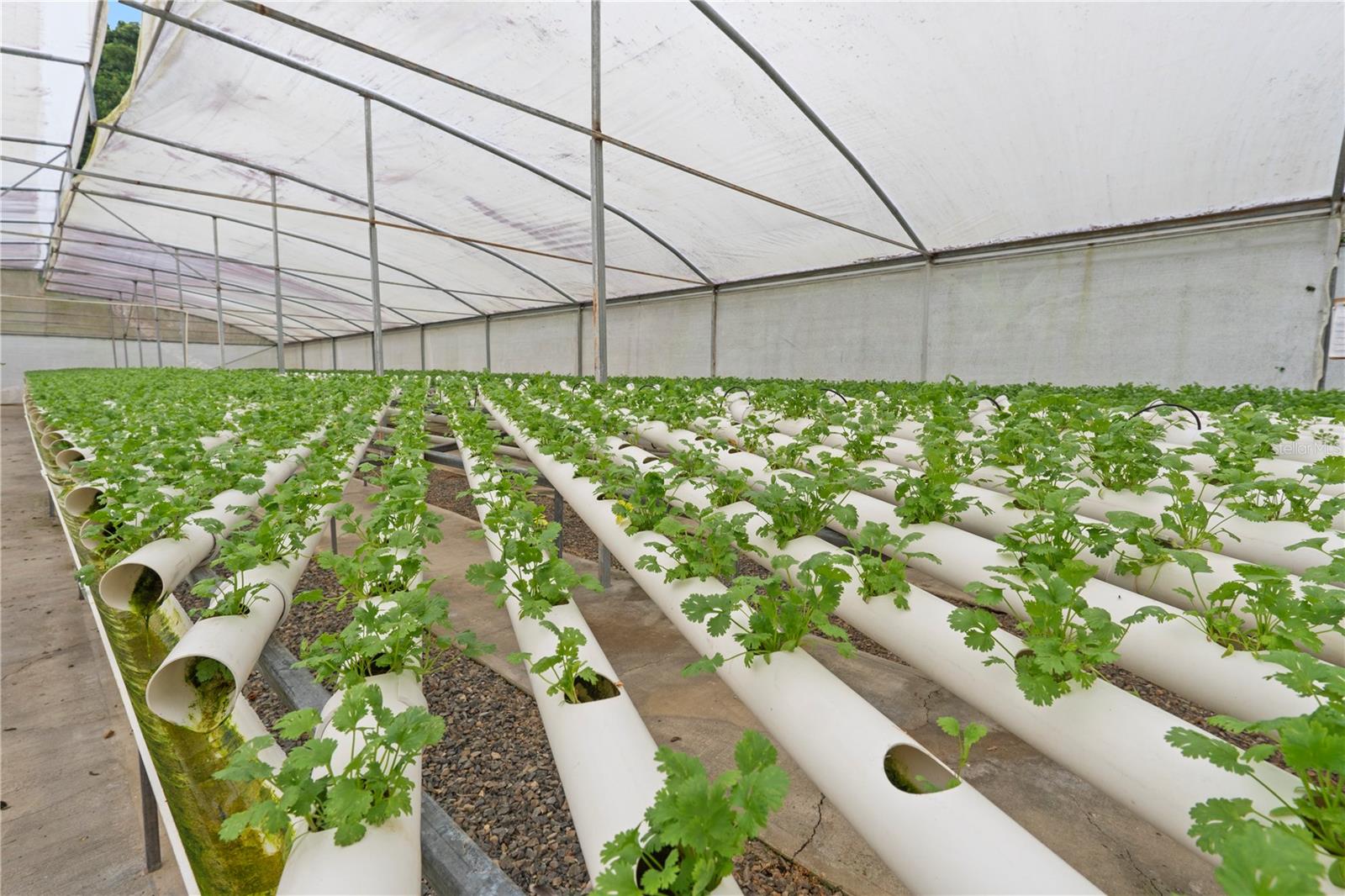 PR9116886 Property Photo