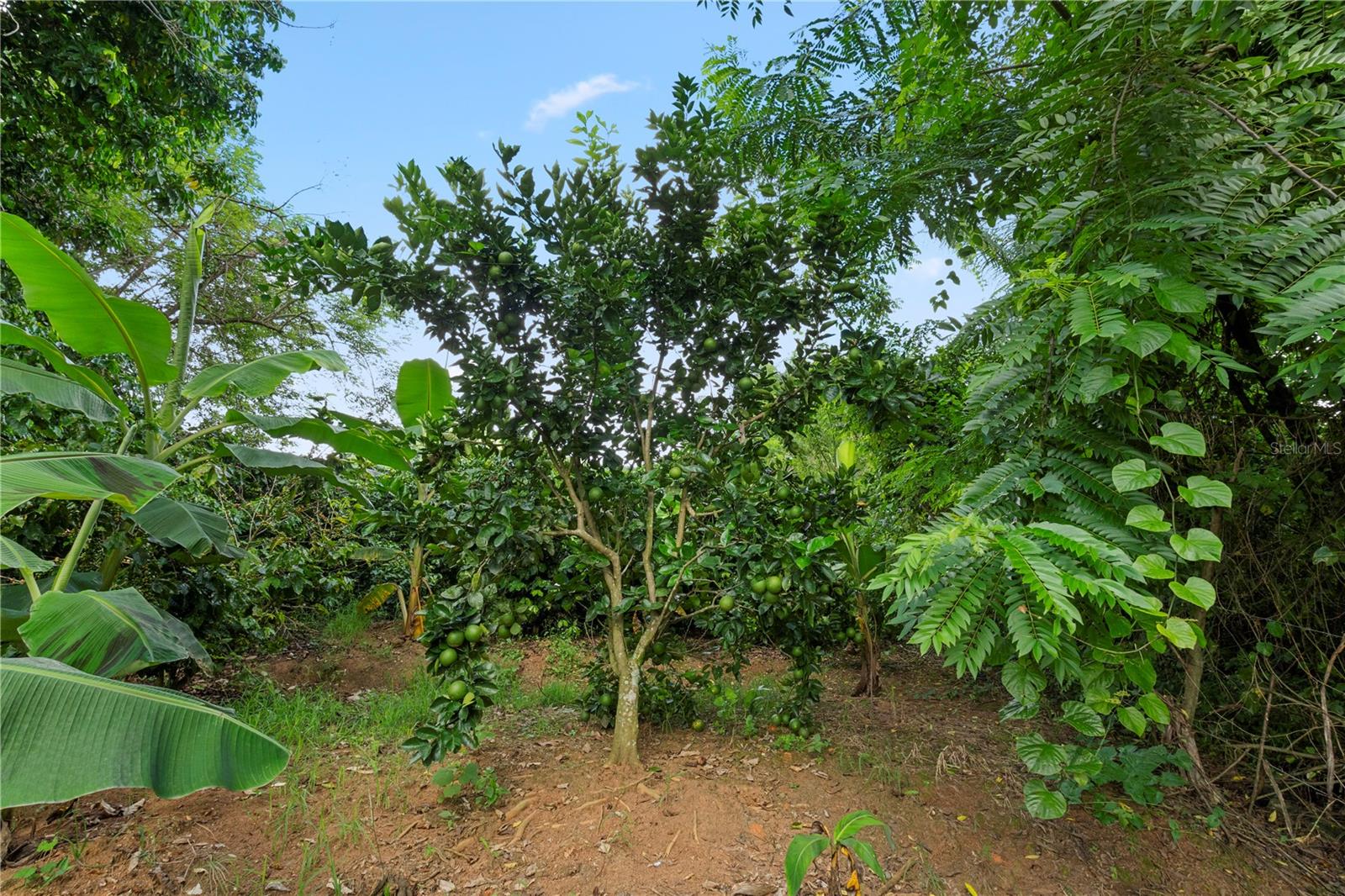 PR9116886 Property Photo