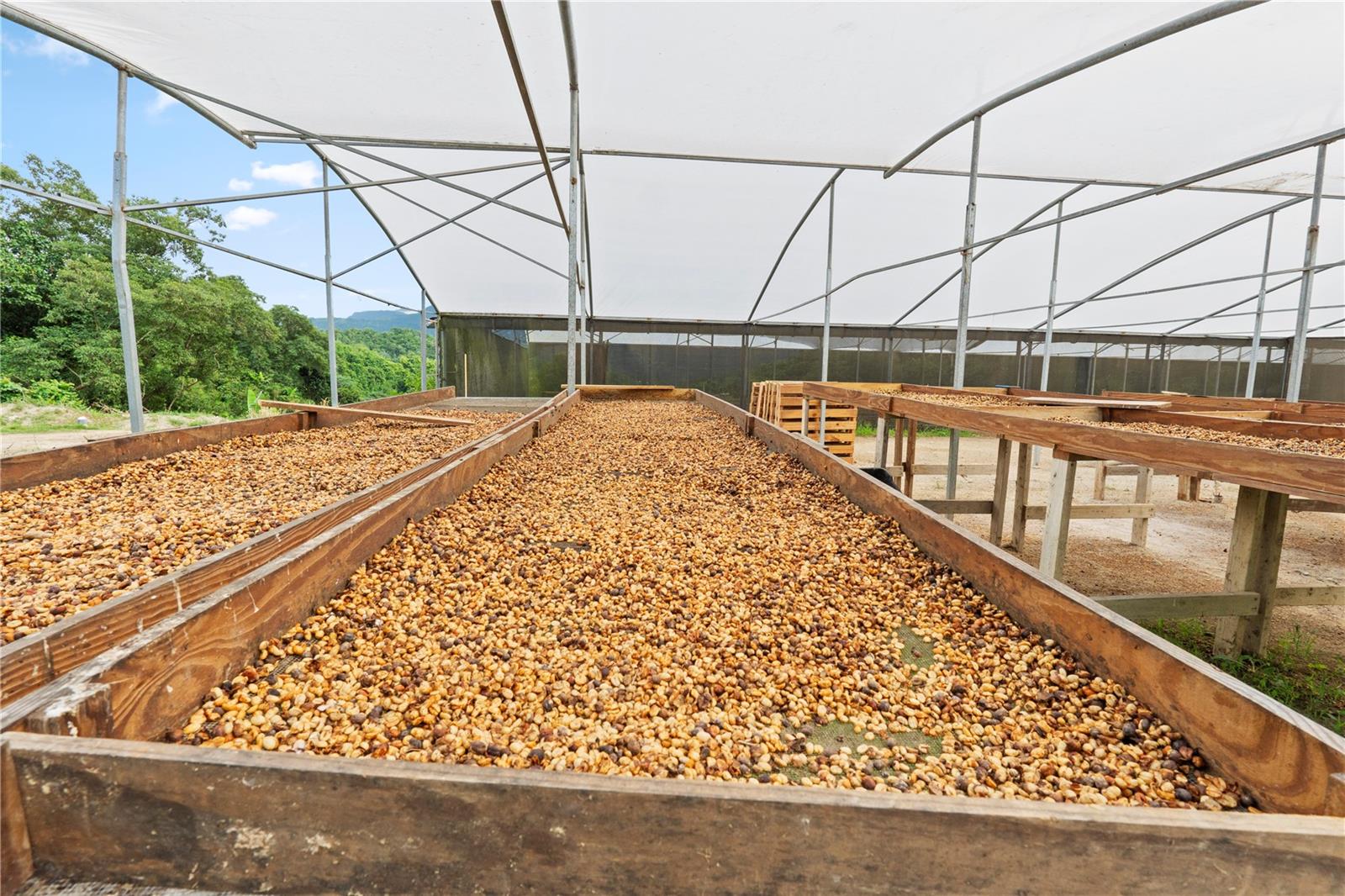 PR9116886 Property Photo