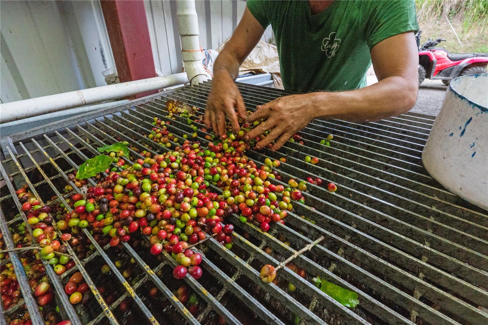 PR9116886 Property Photo