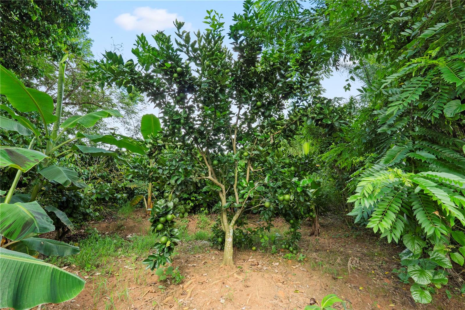 PR9116886 Property Photo