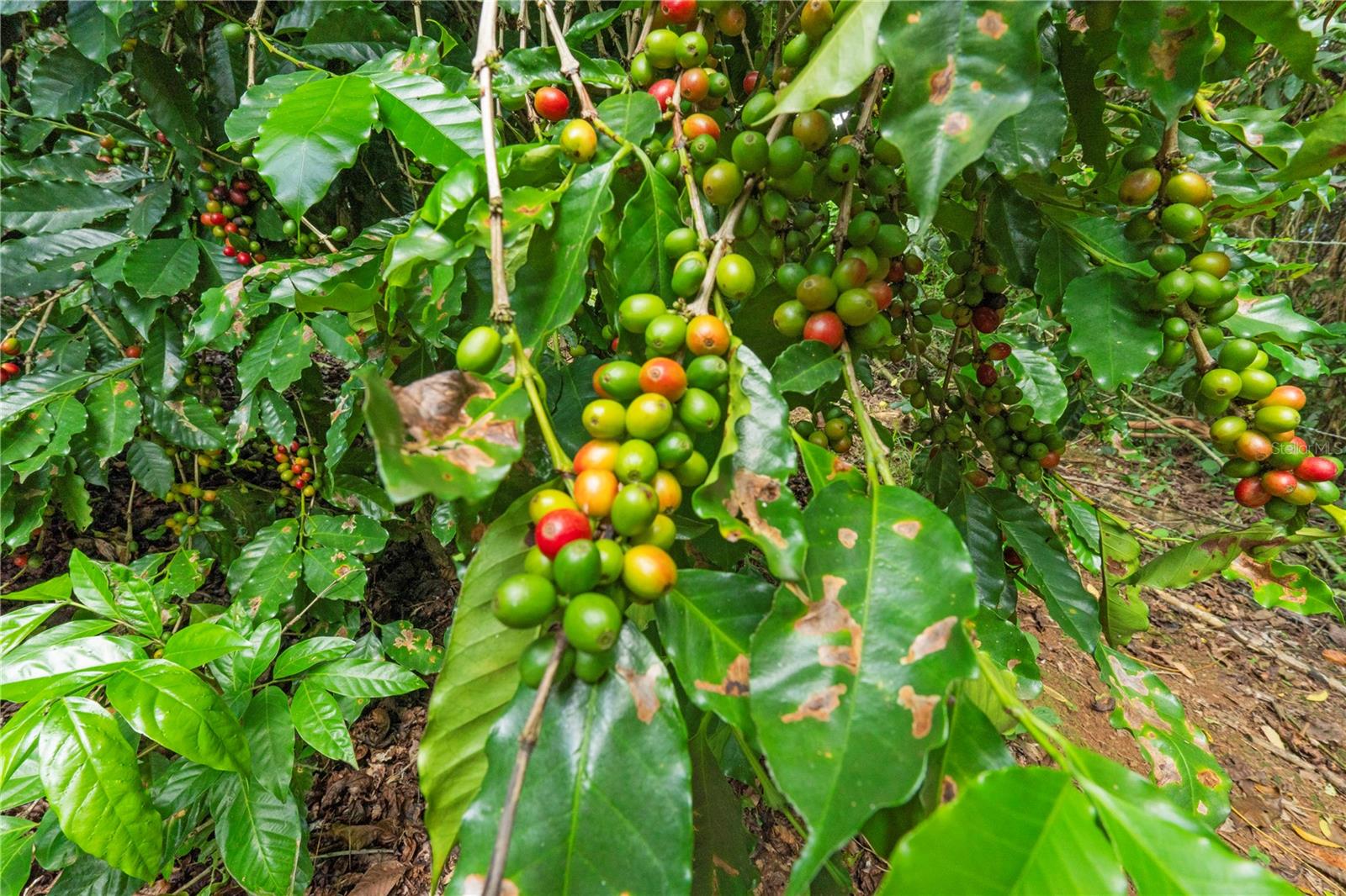 PR9116886 Property Photo