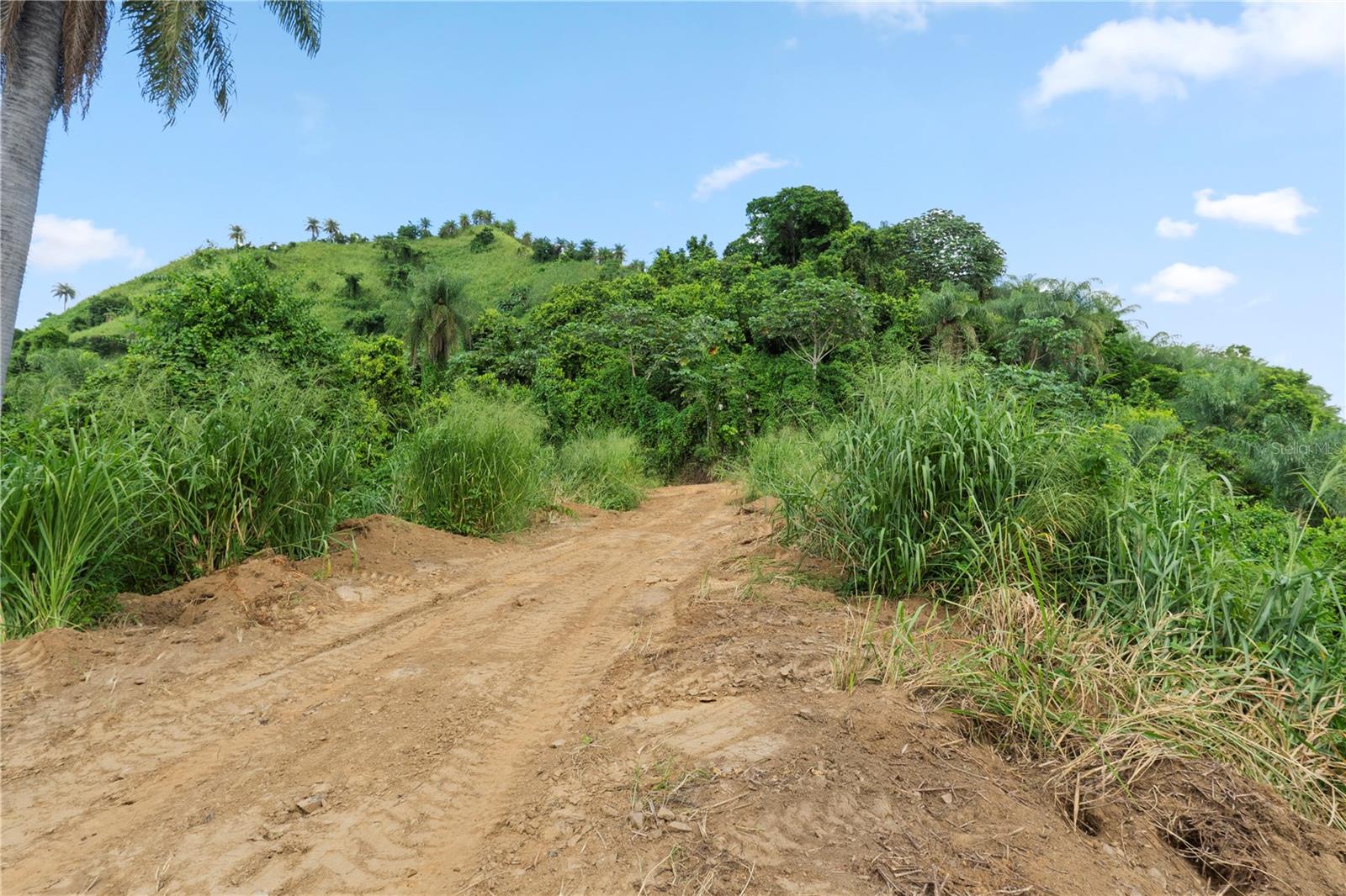 PR9116886 Property Photo