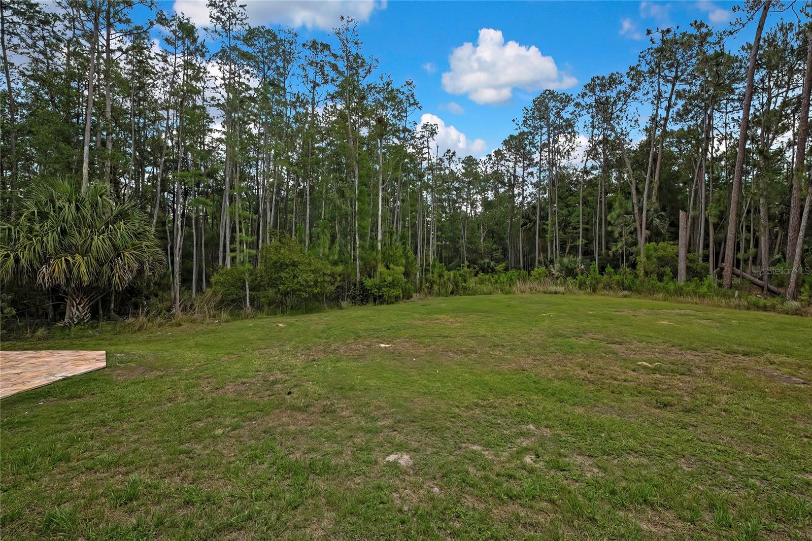 27338 ELKWOOD CIR, WESLEY CHAPEL, FL, 33544