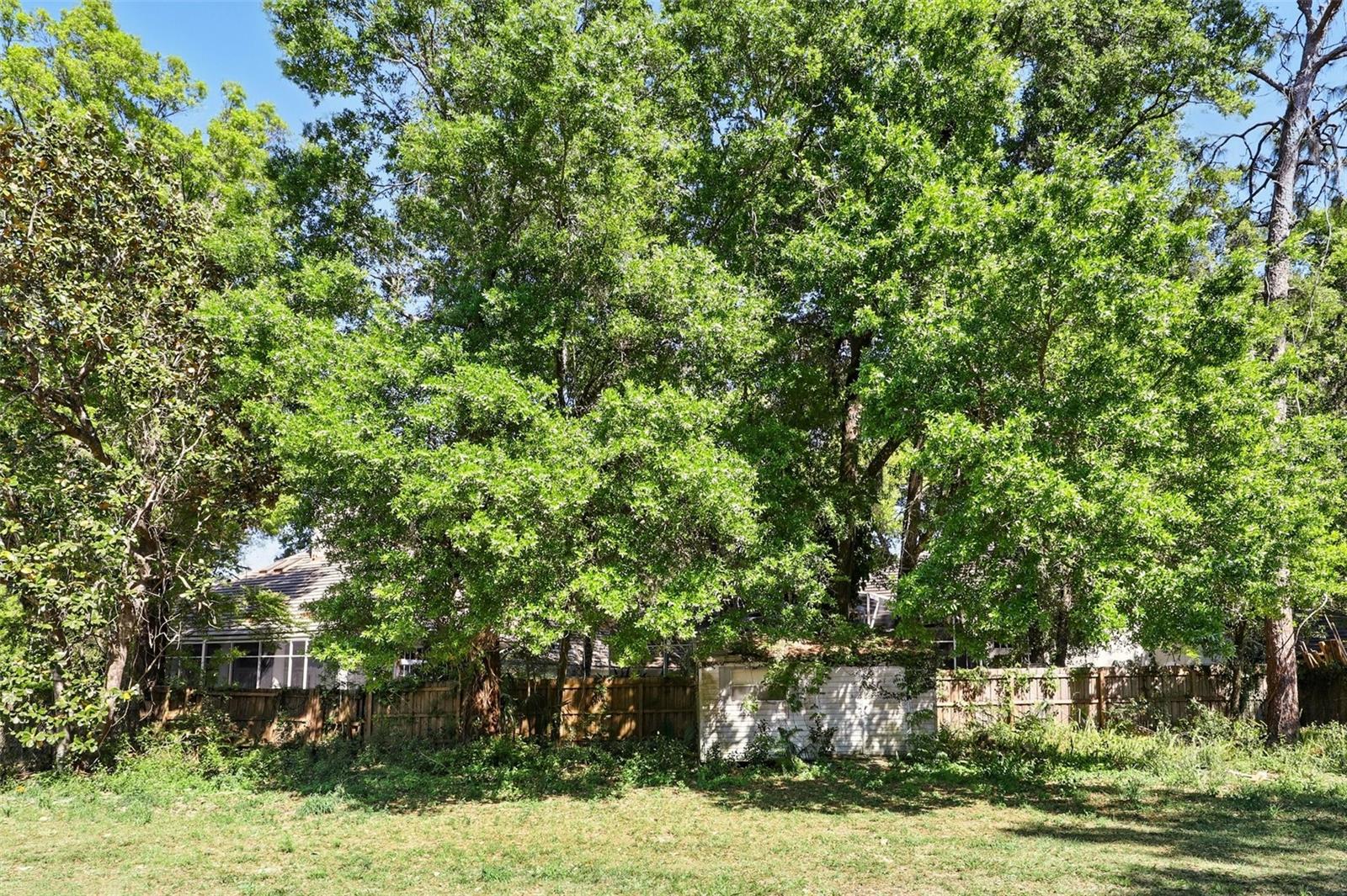 1617 ACACIA RD, APOPKA, FL, 32712