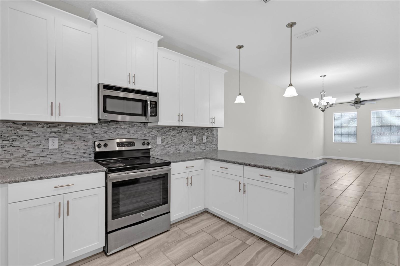 1325 SHINNECOCK HILLS DR, DAVENPORT, FL, 33896