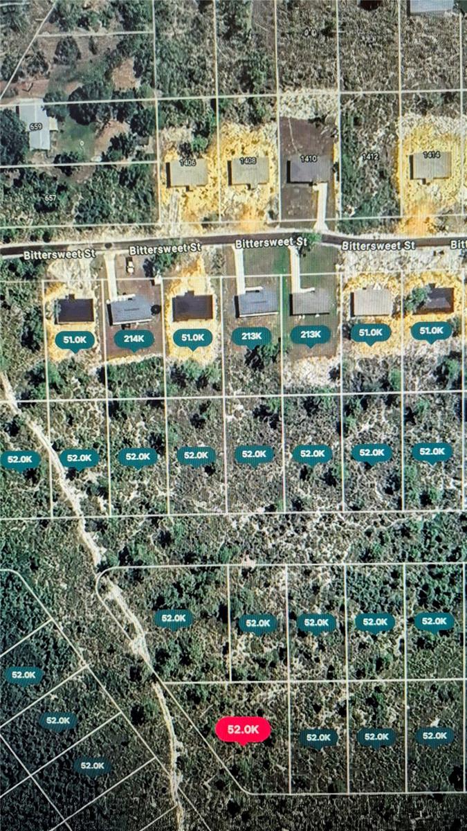 1400 CHICKADEE ST, LAKE PLACID, FL, 33852