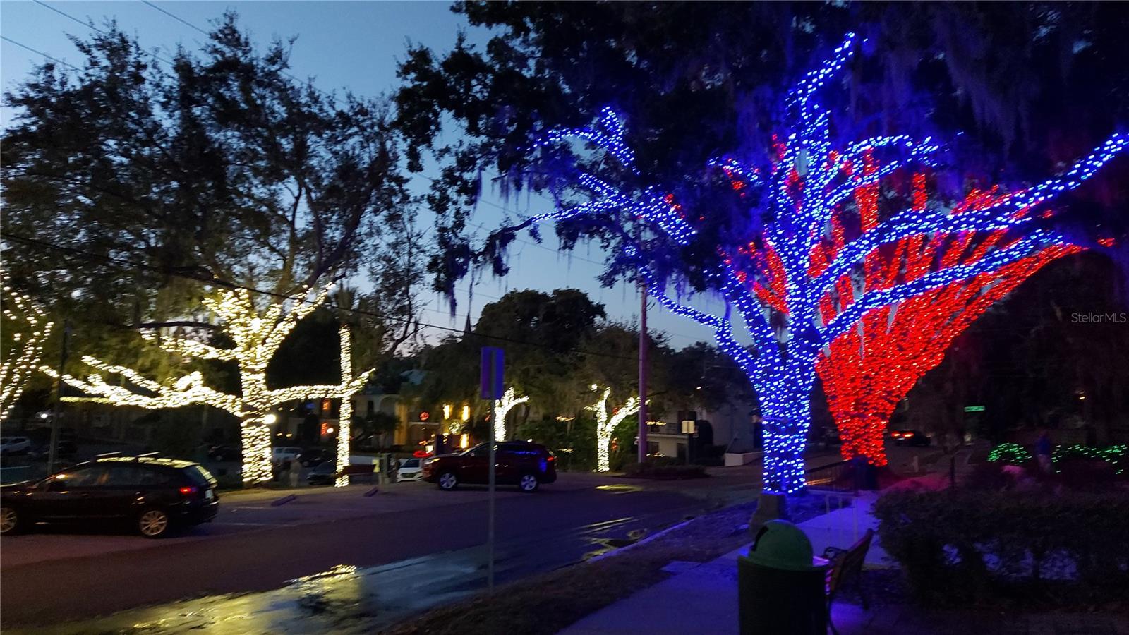 229 E 6TH AVE, MOUNT DORA, FL, 32757