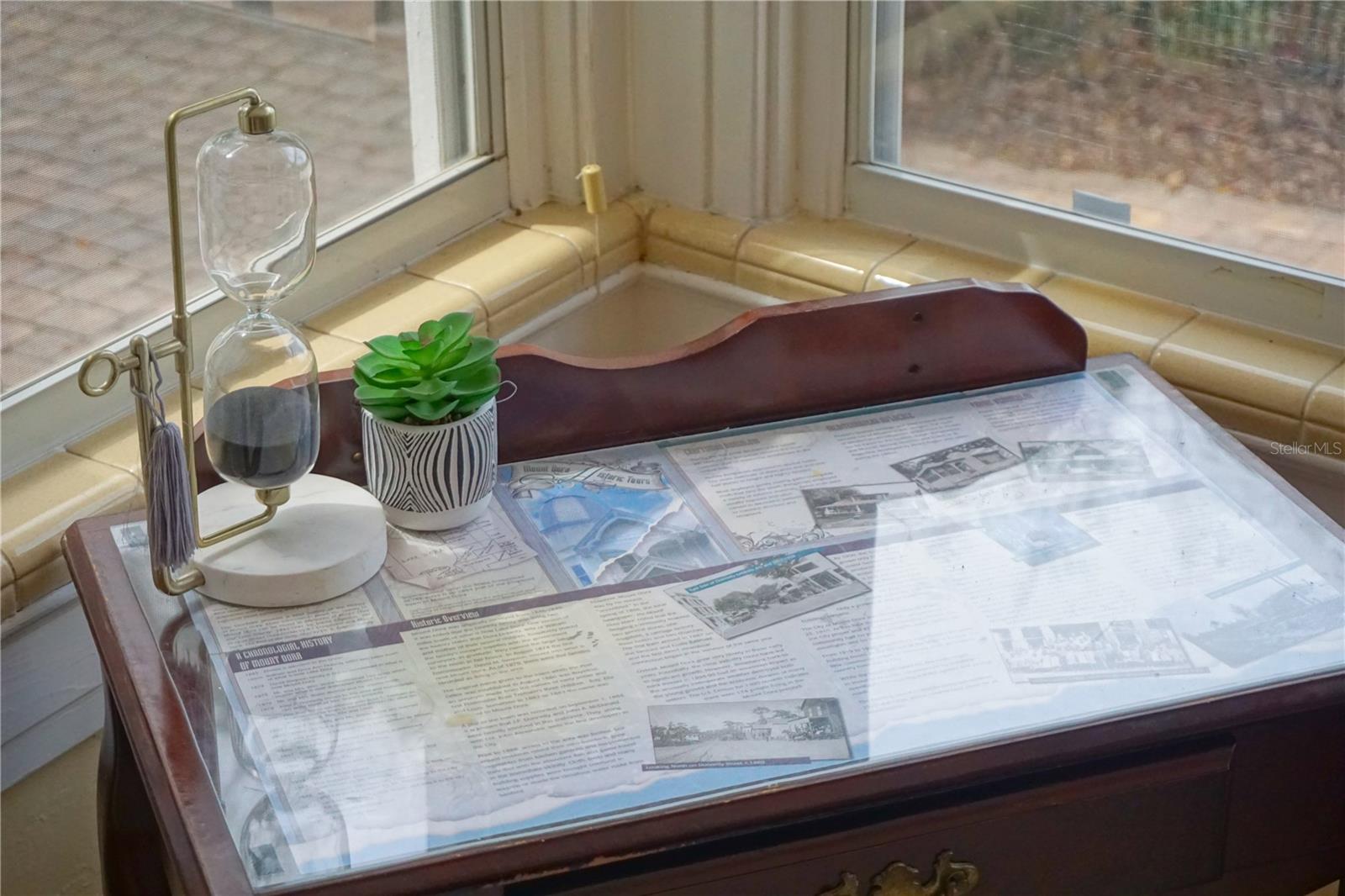 229 E 6TH AVE, MOUNT DORA, FL, 32757