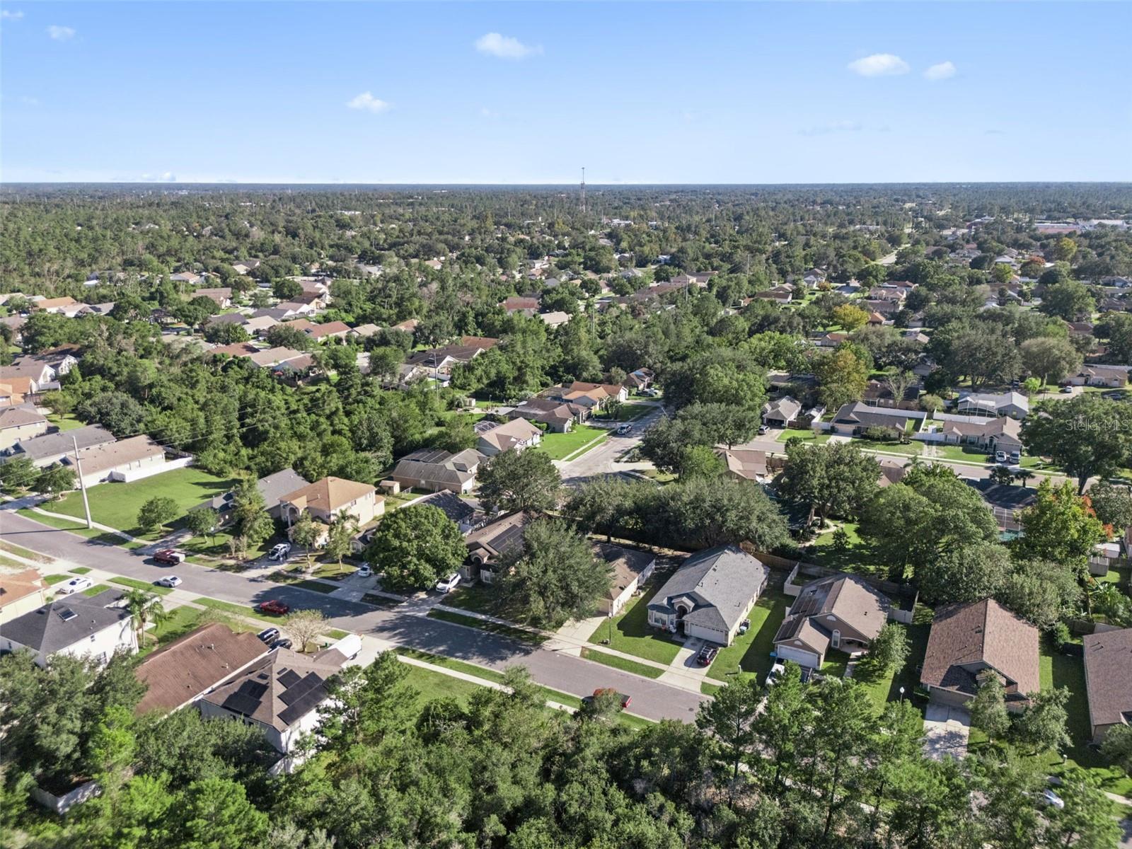 3042 WILD PEPPER AVE, DELTONA, FL, 32725